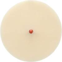 Scotch-Brite Moulding Adhesive and Stripe Removal Disc 7502, 6" Dia. PB Rental Co. Ltd.