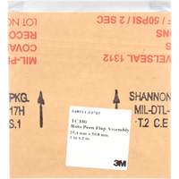 1" x 2" Roto Peen Flap Assembly, TC 330 PB Rental Co. Ltd.