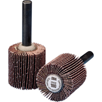 General Purpose Flap Wheel, Aluminum Oxide, 60 Grit, 1" x 1" x 1/4" PB Rental Co. Ltd.