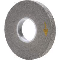 Meule d'&eacute;barbage EXL Scotch-Brite PB Rental Co. Ltd.