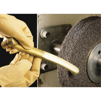 Scotch-Brite Multi-Finishing Wheels, 8" x 1", 3" Arbor PB Rental Co. Ltd.