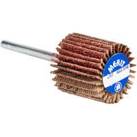 High Performance Micro-Mini Flap Wheel, Aluminum Oxide, 60 Grit, 3/4" x 3/4" x 1/8" PB Rental Co. Ltd.