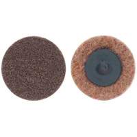 Non-Woven Quick-Change Discs, 3" Dia., Extra Coarse Grit, Aluminum Oxide PB Rental Co. Ltd.