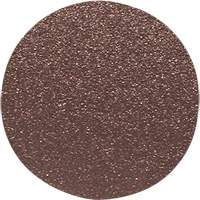 Wood Sanding Disc, 12" Dia., 60 Grit PB Rental Co. Ltd.