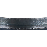 Metal Cutting Bandsaw Blade, Metal, 93" L x 3/4" W x 0.032" Thick, 14 TPI PB Rental Co. Ltd.