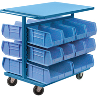 Bin Cart with Bins, Double-sided, 20 bins, 24" W x 38-1/2" D x 36-1/2" H PB Rental Co. Ltd.