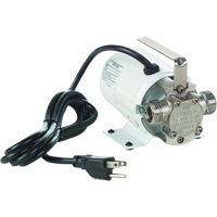 Pompes de transfert &agrave; amorçage automatique, non submersibles en laiton plaque - Pompe seulement, 115 V, 360 gal./h, 1/10 CV PB Rental Co. Ltd.