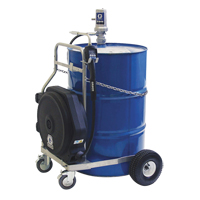 Pompe &agrave; huile pneumatique de s&eacute;rie LD, 7,8 gal./min, Rapport de pression de 3:1 PB Rental Co. Ltd.