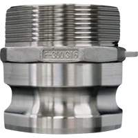 Accouplement &agrave; came et rainure, Acier inoxydable, Type F, 3/4", NPT m&acirc;le, 250 PSI PB Rental Co. Ltd.