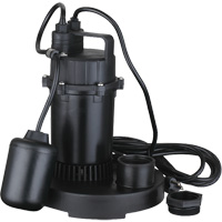 Thermoplastic Submersible Sump Pump, 2560 GPH, 115 V, 4.6 A, 1/3 HP PB Rental Co. Ltd.