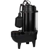 Cast Iron Effluent Pump, 4800 GPH, 120 V, 7.8 A, 1/2 HP PB Rental Co. Ltd.