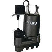 Cast Iron Submersible Sump Pump with Vertical Float Switch, 67 GPM, 33 V, 5 A, 1/3 HP PB Rental Co. Ltd.