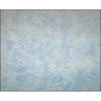 Filtres en m&eacute;dias synth&eacute;tiques &agrave; arrestance &eacute;lev&eacute;e, Tampon, MERV 5, 24" la x 2" p x 12" h PB Rental Co. Ltd.