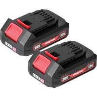 2.0Ah Lithium Battery - 2 Pack, 20 V PB Rental Co. Ltd.