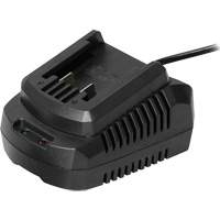 Single Battery Charger, 20 V PB Rental Co. Ltd.