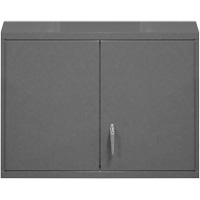Armoire murale, 27" h x 29-7/8" la x 13-11/16" p, 2 tablettes, Acier, Gris PB Rental Co. Ltd.