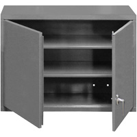 Armoire murale, 27" h x 29-7/8" la x 13-11/16" p, 2 tablettes, Acier, Gris PB Rental Co. Ltd.