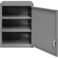 Armoire murale, 27" h x 13-11/16" la x 18" p, 2 tablettes, Acier, Gris PB Rental Co. Ltd.