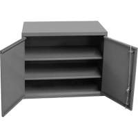 Armoire murale, 27" h x 13-11/16" la x 35-7/8" p, 2 tablettes, Acier, Gris PB Rental Co. Ltd.