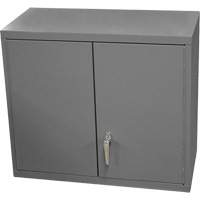 Armoire murale, 27" h x 13-11/16" la x 35-7/8" p, 2 tablettes, Acier, Gris PB Rental Co. Ltd.