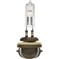 886 Basic Fog Light Bulb, Halogen, 50 W, Off White PB Rental Co. Ltd.