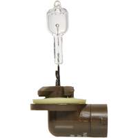 886 Basic Fog Light Bulb, Halogen, 50 W, Off White PB Rental Co. Ltd.