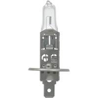 64155 Ampoule automobile de base, Halog&egrave;ne, 78 W, Blanc cass&eacute; PB Rental Co. Ltd.