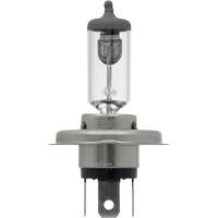 9003 Basic Headlight Bulb, Halogen, 61 W/67 W, Off White PB Rental Co. Ltd.