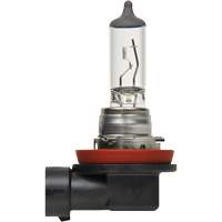 Ampoule de base pour feu avant H8, Halog&egrave;ne, 35 W, Blanc cass&eacute; PB Rental Co. Ltd.