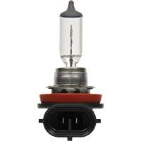 Ampoule de base pour feu avant H8, Halog&egrave;ne, 35 W, Blanc cass&eacute; PB Rental Co. Ltd.