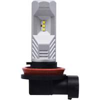 Ampoule pour feu avant H8, DEL, 12,8 W/9 W, Blanc PB Rental Co. Ltd.
