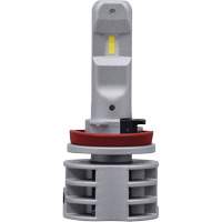 Ampoule pour feu avant H11, DEL, 13,2 W/17 W, Blanc PB Rental Co. Ltd.