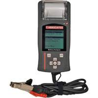 Testeur/analyseur portatif de syst&egrave;mes &eacute;lectriques avec port USB et imprimante thermique PB Rental Co. Ltd.