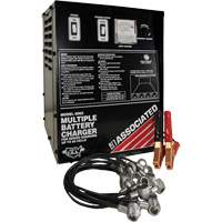 Multi-Battery Series Charger PB Rental Co. Ltd.