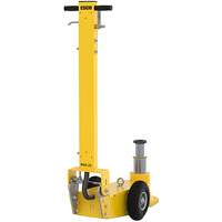 Cric Mammut &agrave; 2 &eacute;tapes, 66 tonnes, Air comprim&eacute;/hydraulique PB Rental Co. Ltd.