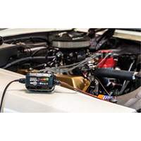 Chargeur de batterie 2 A Genius 2 PB Rental Co. Ltd.