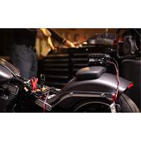 Chargeur de batterie 10 A Genius 10 PB Rental Co. Ltd.