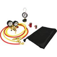 Automotive A/C Nitrogen Leak Test Kit with Regulator PB Rental Co. Ltd.