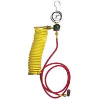 Automotive A/C Nitrogen Leak Test Kit with Regulator PB Rental Co. Ltd.