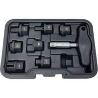 8 Pc. Oil Drain Plug Kit PB Rental Co. Ltd.