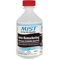 Formule de recommercialisation automobile MiST PB Rental Co. Ltd.
