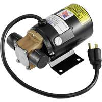 Low Profile Truck Drain with Electric Pump PB Rental Co. Ltd.