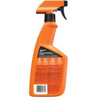 Multi-Purpose Auto Cleaner, 16 oz./473 ml, Trigger Bottle PB Rental Co. Ltd.