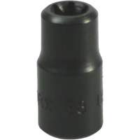 Douille Torx&reg; E-8 PB Rental Co. Ltd.
