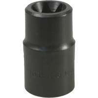 Douille Torx&reg; E-18 PB Rental Co. Ltd.