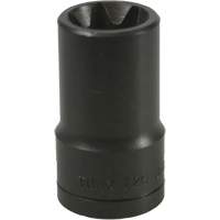 Douille Torx&reg; E-20 PB Rental Co. Ltd.