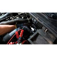 Tall Frame Brake-Pro Pressure Brake Bleeder with Adapters PB Rental Co. Ltd.