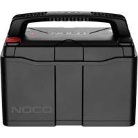 Automotive Batteries