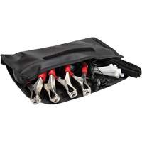 Wireless ChassisEAR Diagnostic Device Kit PB Rental Co. Ltd.