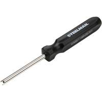 Valve Core Remover with Screwdriver-Style Handle PB Rental Co. Ltd.